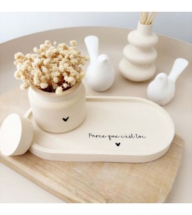 Ensemble plateau et petit...