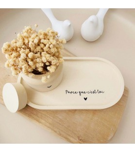 Ensemble plateau et petit...